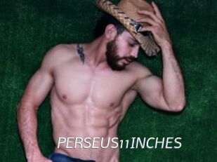 PERSEUS11INCHES