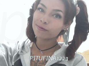PITUFINA1223