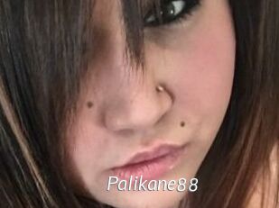 Palikane88
