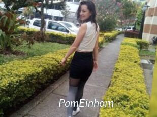PamEinhorn