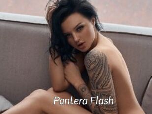 Pantera_Flash