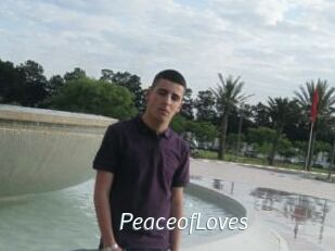 PeaceofLoves