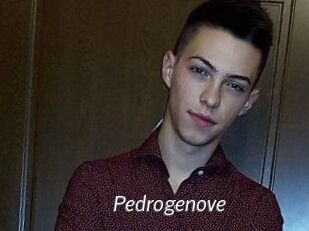 Pedrogenove