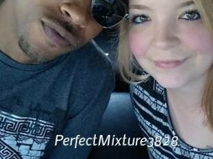 PerfectMixture3828