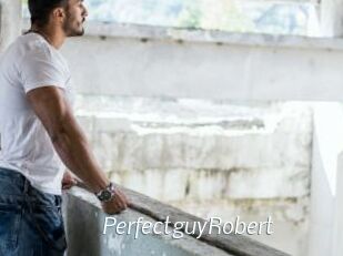 PerfectguyRobert