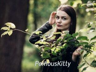 Perilous_Kitty