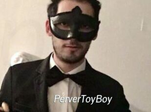 PerverToyBoy