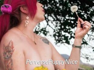 PerversePuppyNice