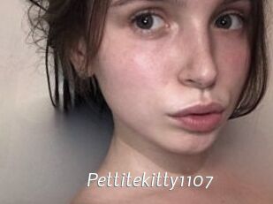 Pettitekitty1107