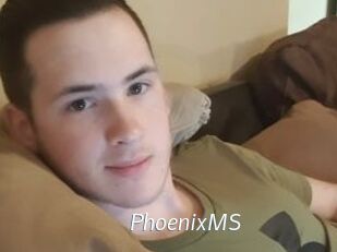PhoenixMS
