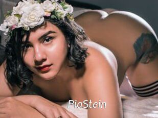 PiaStein