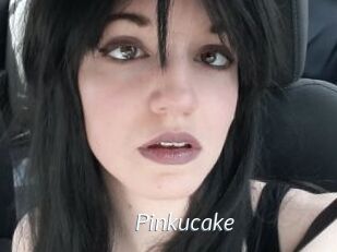 Pinkucake Porn Star