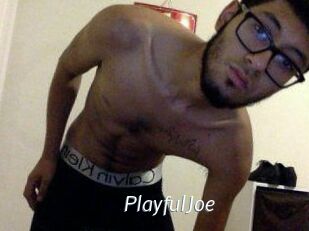 PlayfulJoe