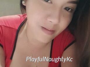 PlayfulNaughtyKc