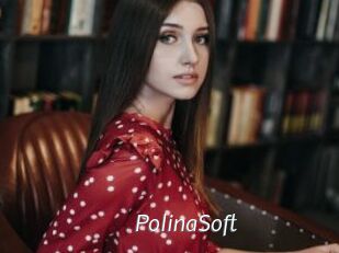 PolinaSoft