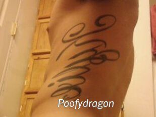Poofydragon