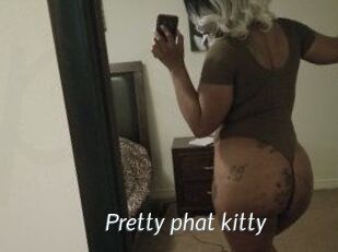 Pretty_phat_kitty