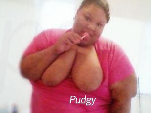 Pudgy
