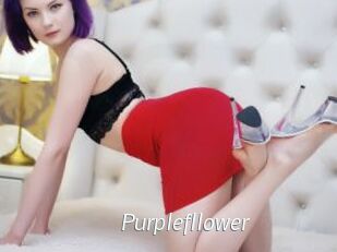 Purplefllower