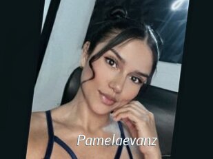 pamelaevanz Porn Star