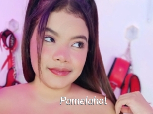 Pamelahot