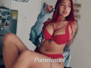Pamelasuee
