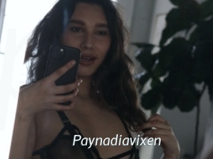 Paynadiavixen