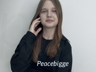 Peacebigge
