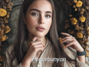 Peacebunyan