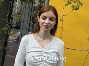Peacefenning