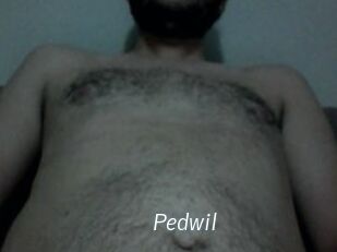 Pedwil