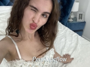 Penelopeflow