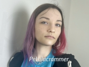 Petulacrammer