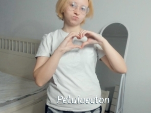 Petulaecton