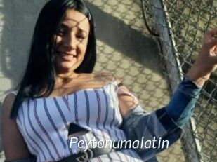 Peytonumalatin