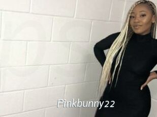 Pinkbunny22