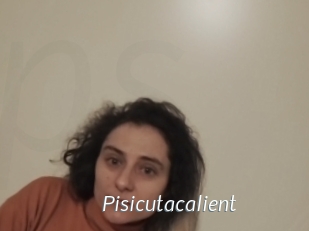 Pisicutacalient