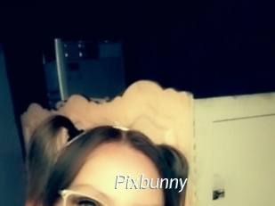 Pixbunny