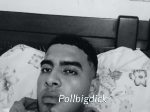 Pollbigdick