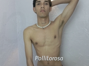 Pollitorosa