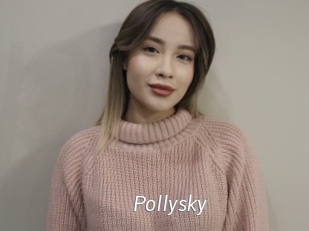 Pollysky