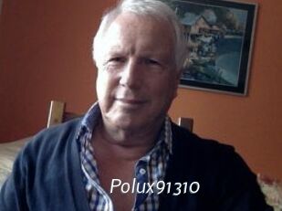 Polux91310