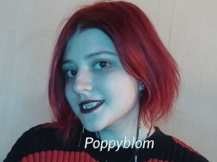 Poppyblom