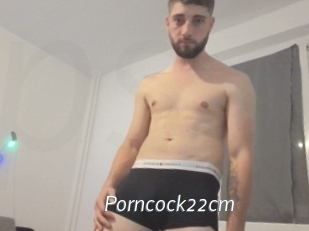 Porncock22cm