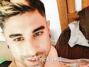 Pricklykat