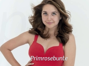 Primrosebunte