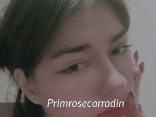 Primrosecarradin