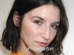 Primrosefurr
