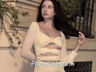 Primrosehankin