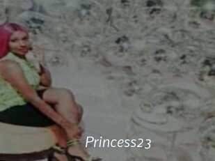 princess23 Porn Star